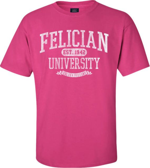 Felician University Golden Falcons Short Sleeve T-Shirt
